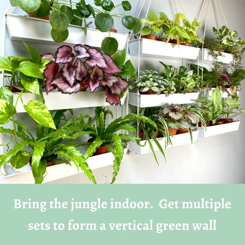 LáLáGreen LaLaGreen Hanging Wall Planter - 16 Inch Three Tier Plant Hanger for Succulent Indoor Herb Planter Modern White Boho Metal Wall Plant Holder Decor, Vertical Garden Hanging Planter Shelf Large Outdoor - Image 3