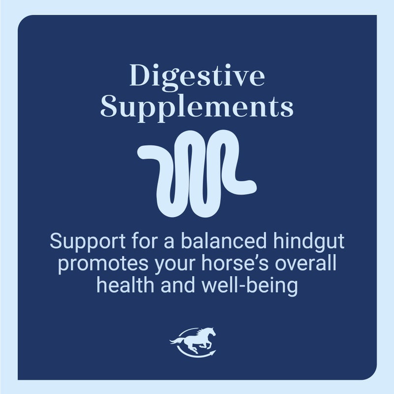 SmartEquine SmartDigest Digestive Health Supplement for Horses | Encourages Healthy Digestion Through Probiotics and Prebiotics | 56 Servings | 1.85 lb Bucket - Image 4