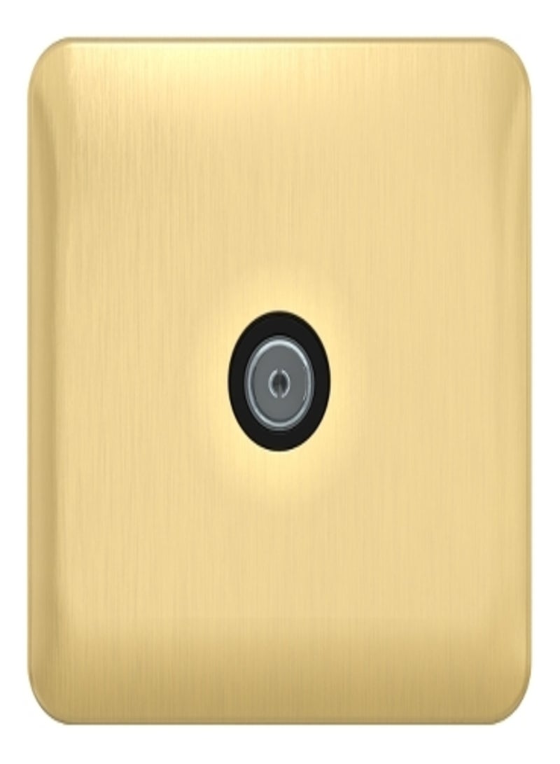 Schneider Electric GGBL7010BSB Lisse - Data Communication - TV/FM - Single Direct Connection Satin Brass Bl int 
