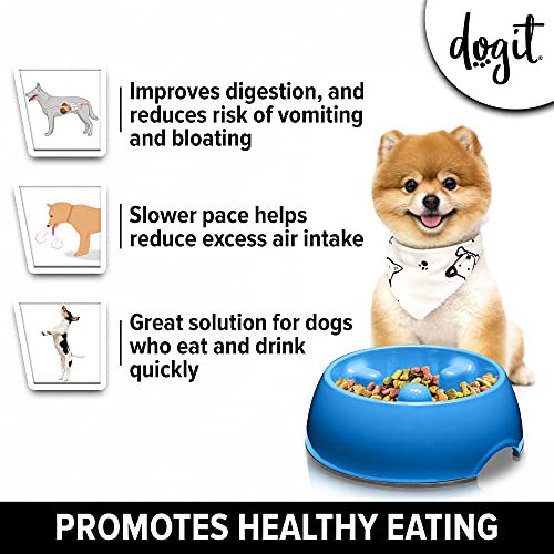 Dogit Dog Bowl Slow Feeder for Wet or Dry Dog Food, Go Slow Anti-Gulping Dog Dish, Blue, S - Image 2