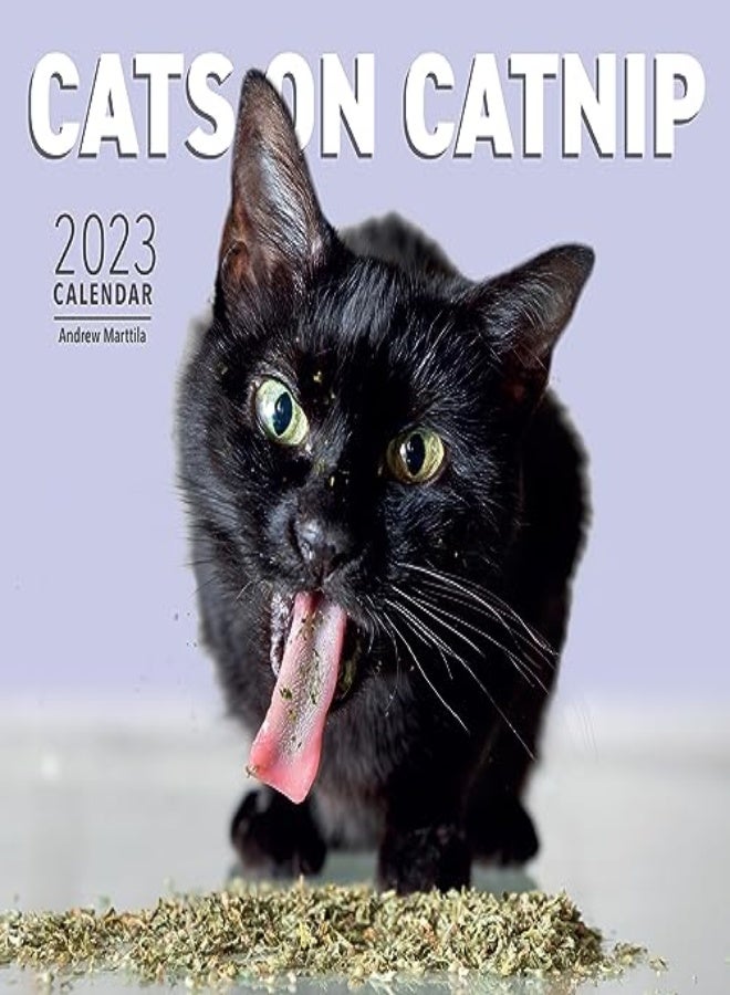 Cats On Catnip Wall Calendar 2023 A Year Of Cats Living The High Life And Feeling Niiiiice by Marttila, Andrew - Workman Calendars Paperback 