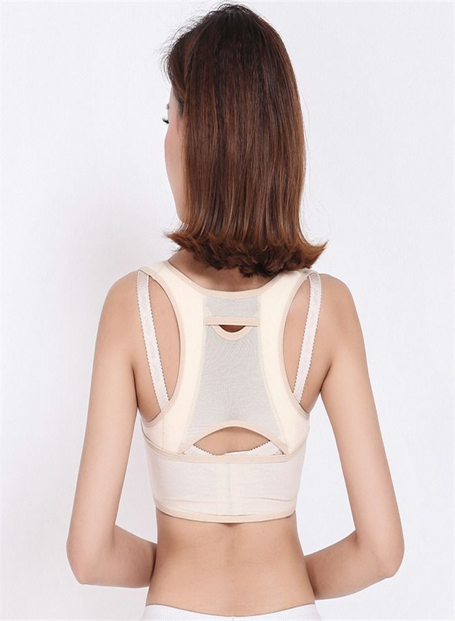 Loquat Back Posture Sitting Orthotic Device