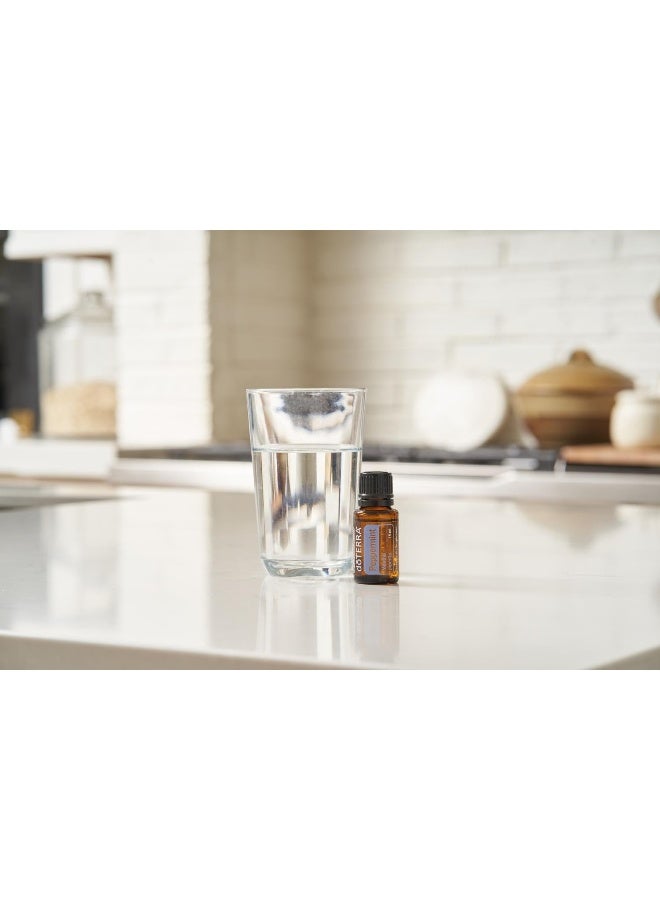 doTERRA Peppermint Essential Oil 15 ml by doTERRA, 2 Pack - Image 5