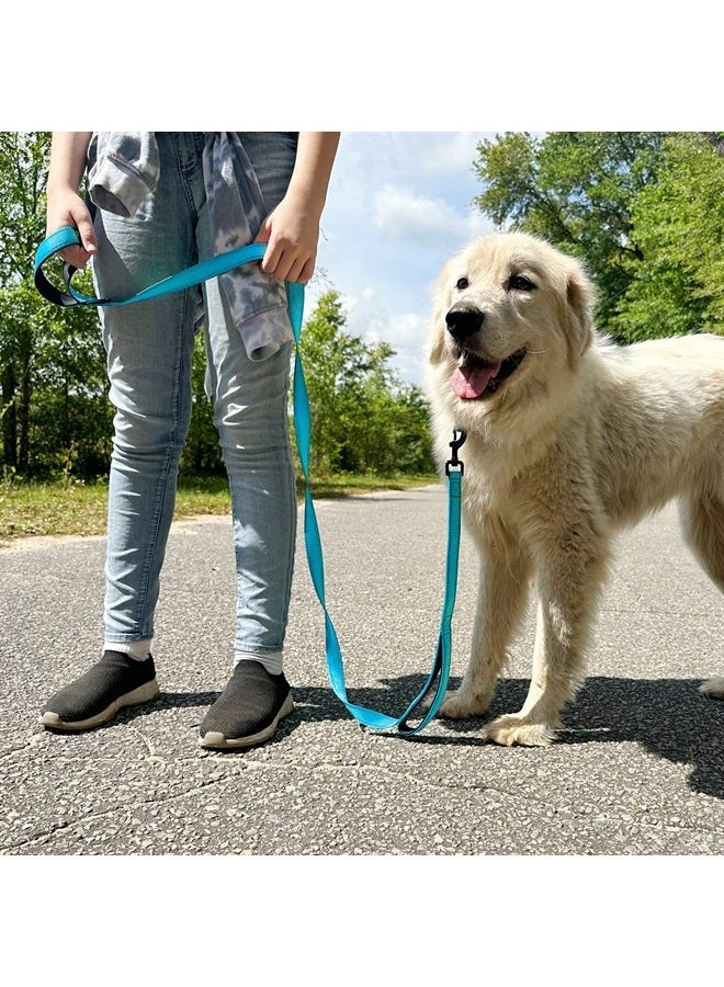 Joytale Double Handle Dog Leash, Double-Sided Reflective Dog Leashes for Night Safety, Heavy Duty Leash for Large and Extra Large and Medium Breed Dogs Outside Walking,6FT,Aqua Blue - Image 4