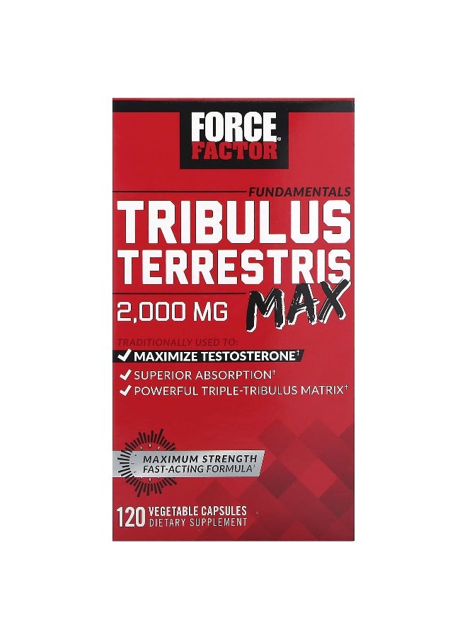 Force Factor Force Factor, Fundamentals, Tribulus Terrestris Max, 2,000 mg, 120 Vegetable Capsules (500 mg per Capsule) 