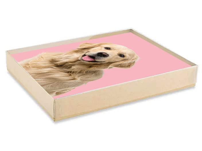 Glory To Dog Blank Note Card Golden Retriever on pink background, 12 Cards and Envelopes in Gift Box - Image 2