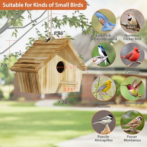 Auslar Bird House, Bird Houses for Outside, Wooden Birdhouse for Outdoors, Hanging Bluebird House for Cardinals Finch Wren Swallow for Wild Bird Viewing - Image 5