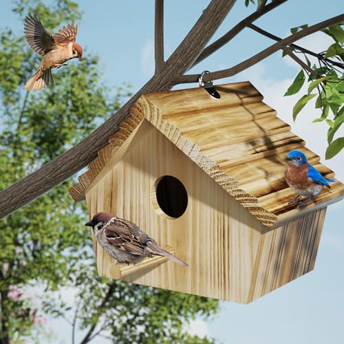 Auslar Bird House, Bird Houses for Outside, Wooden Birdhouse for Outdoors, Hanging Bluebird House for Cardinals Finch Wren Swallow for Wild Bird Viewing - Image 3