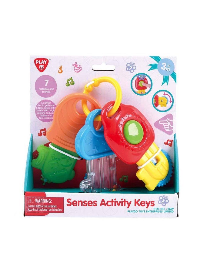 Playgo Senses Activity Keys - Image 1