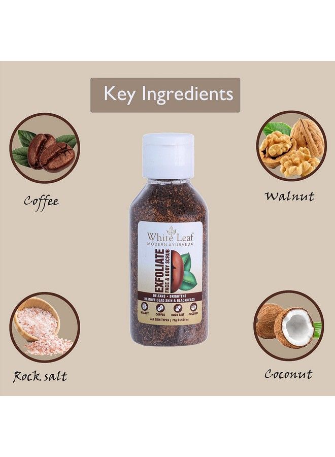 White Leaf مقشر الجوز 75 جرام (عبوة من 3) للوجه والجسم مع القهوة وجوز الهند لإزالة خلايا الجلد الميتة والتان والرؤوس السوداء والأوساخ والجلد الخالي من التلوث - Image 4