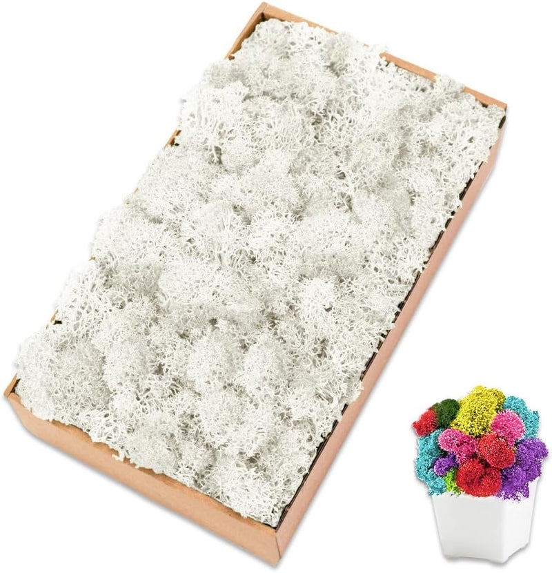 TCYPUHL Preserved Moss for Crafts Green Reindeer Moss for Potted Plants, Craft Decorative Moss Decor for Wall Art, Dried Moss(7oz,White) - Image 1