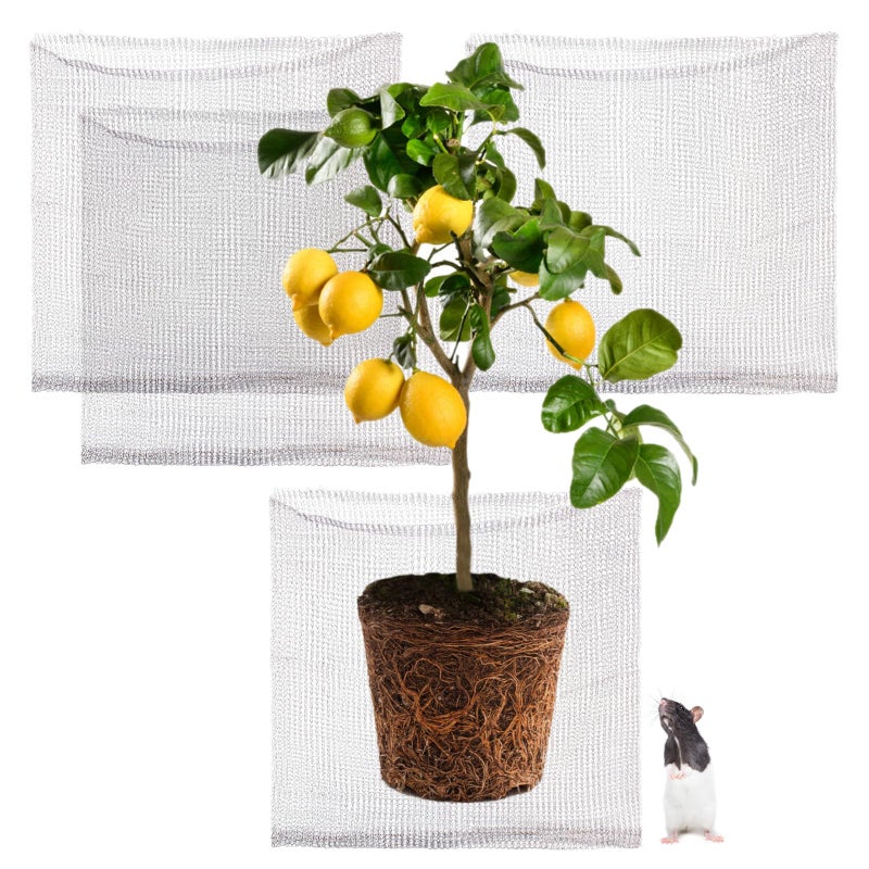 Foyego 4Pcs 15 Gallon Root Guard Baskets for Plants Underground Stainless Steel Wire Mesh Cages Gopher and Vole Wire Basket Protect the Roots of Large Plants - Image 2