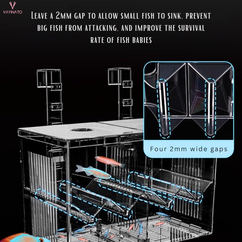 VAYINATO صندوق العزل المتعدد الوظائف من نوع الخطاف المزدوج | صندوق تربية أسماك الفراي الصغيرة | يمكن استبدال الشفاط المزدوج من Petzlifeworld - Image 5