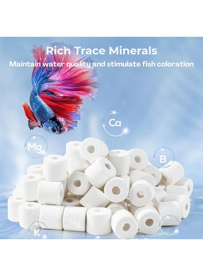 VAYINATO 250G Aquarium Filter Media Ceramic Rings With Net Bag, Keep Water Quality Stable For Freshwater & Seawater Tank, Koi Pond, Sumps By Petzlifeworld - Image 2