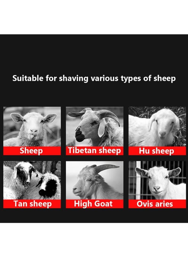 Sheep Shears Cordless Fur Wool in Sheep Goat Cattle and Other Farm Livestock 2800r/min Professional Rechargeable Shearing Clipper 24V for Shaving with 2 Lithium Batteries - Image 5
