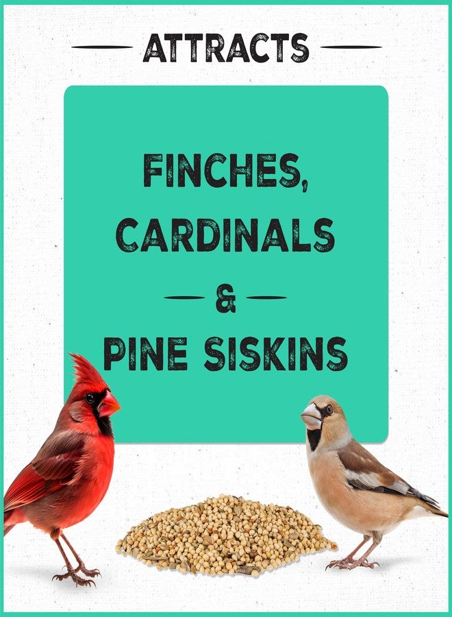 Pennington Pride Wild Finch Blend, Wild Bird Seed for Outside Feeders, Special Mix for a Variety of Musical & Colorful Birds, Great to Feed Year-Round, 10-lb. Bag - Image 3