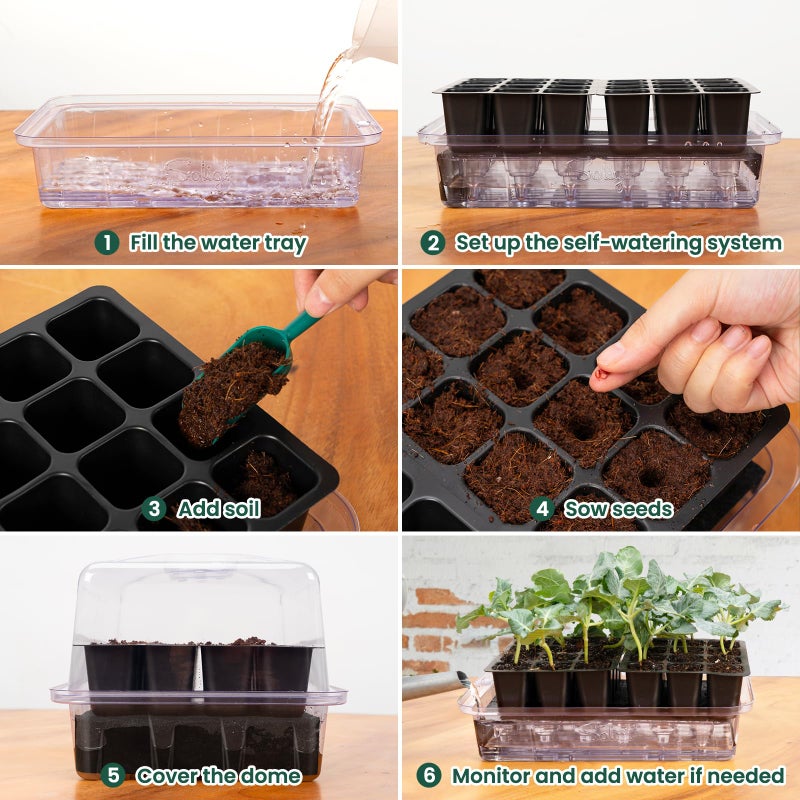 SOLIGT Self Watering Seed Starter Trays with Humidity Domes, Extra Thick Plastic Seed Starter kit for Seed Starting, Plant Germination & Seedling Growing, 6 Pack 144 Cells - Image 4