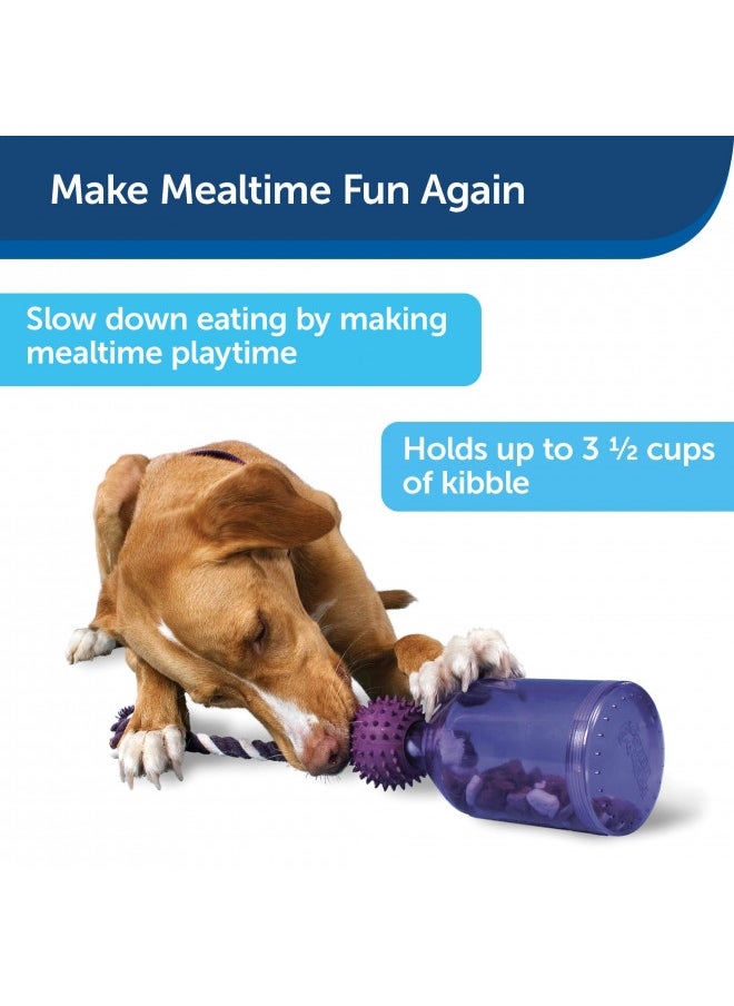 PetSafe Busy Buddy Tug-A-Jug Meal-Dispensing Dog Toy Use with Kibble or Treats