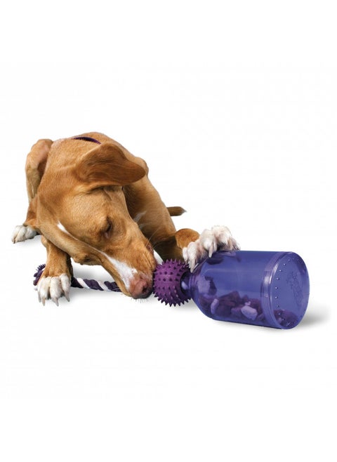 PetSafe Busy Buddy Tug-A-Jug Meal-Dispensing Dog Toy Use with Kibble or Treats