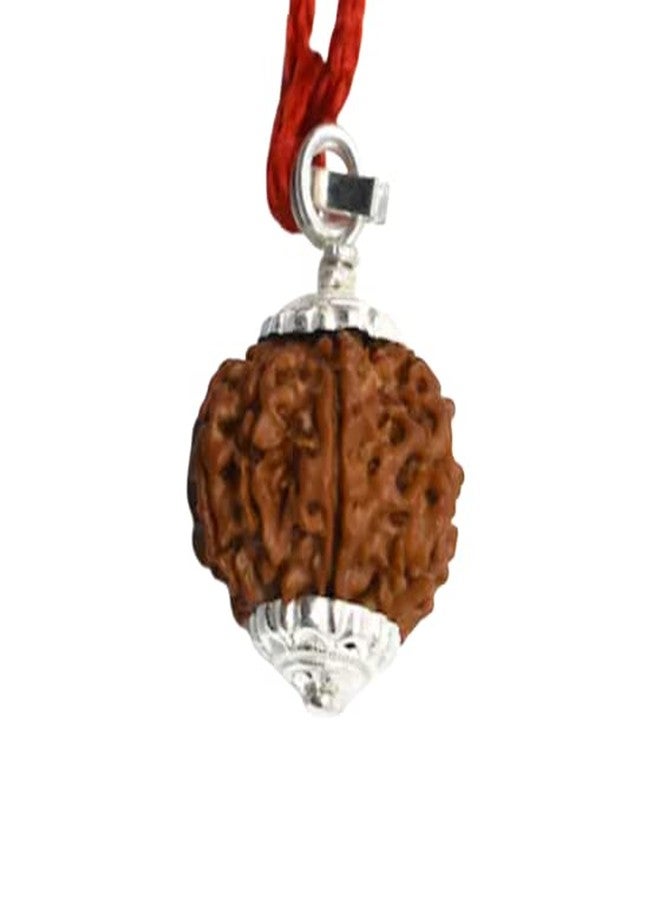 IRIS GEMS 8 Mukhi Rudraksha Original Certified Nepali 8 Mukhi Rudraksha Pure Aath Mukhi Rudraksha with Pendant Eight Face Rudraksha with Pendant 8 मुखी नेपाली रुद्राक्ष for Wearing - Image 1