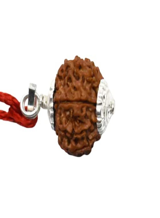 IRIS GEMS 8 Mukhi Rudraksha Original Certified Nepali 8 Mukhi Rudraksha Pure Aath Mukhi Rudraksha with Pendant Eight Face Rudraksha with Pendant 8 मुखी नेपाली रुद्राक्ष for Wearing - Image 2