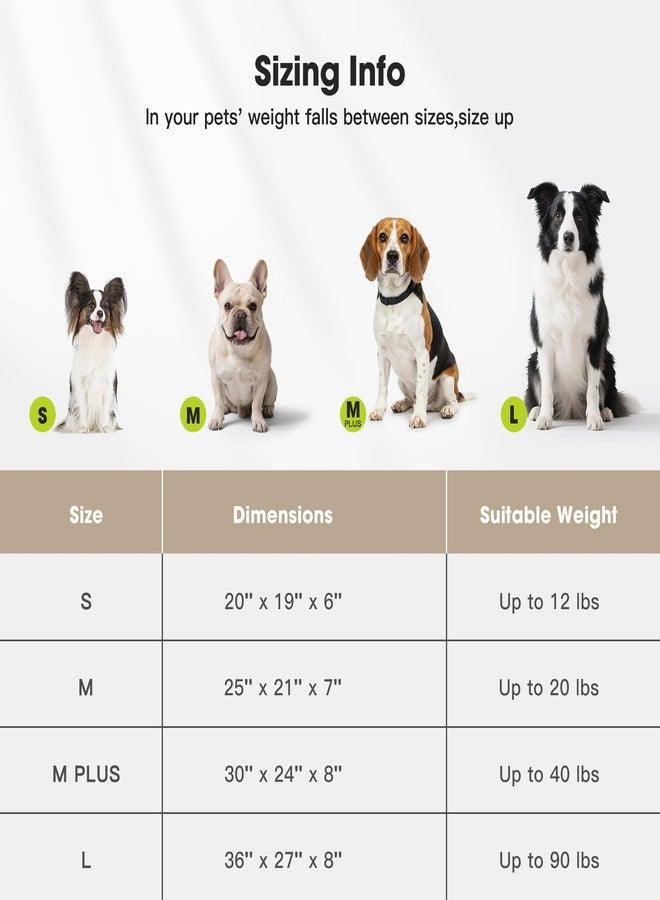 MIXJOY Dog Beds for Small Dogs Cats, Soft Cat Bed for Indoor Cats, Rectangle Pet Bed for Puppy Kitty, Washable Dog Bed with Removable Cover, Anti Slip Bottom, 20"x19"x6", Beige - Image 5
