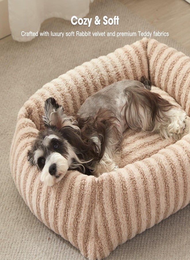 MIXJOY Dog Beds for Small Dogs Cats, Soft Cat Bed for Indoor Cats, Rectangle Pet Bed for Puppy Kitty, Washable Dog Bed with Removable Cover, Anti Slip Bottom, 20"x19"x6", Beige - Image 3