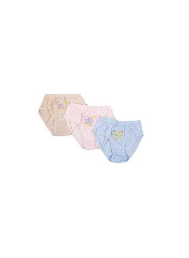 Agree LADIES Panty multicolour pack of 12 indonesia (large) - Image 3