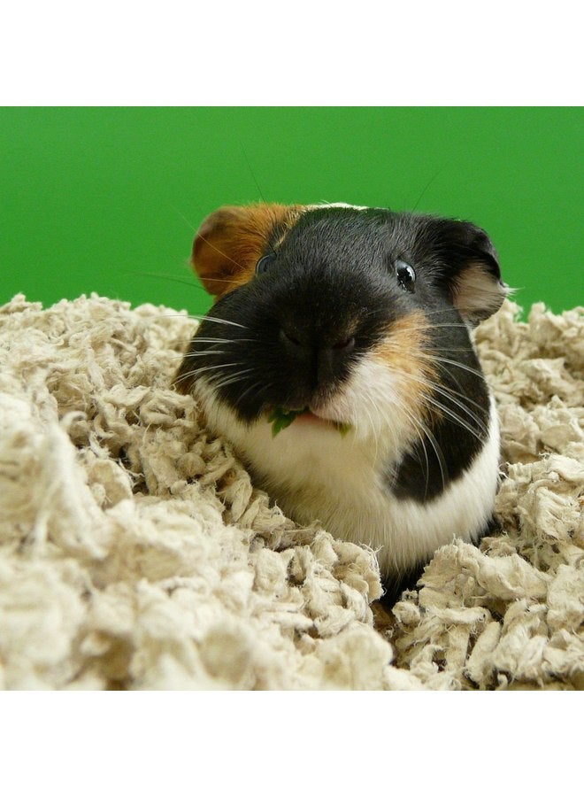 carefresh 99% Dust-Free Natural Paper Small Pet Bedding with Odor Control, 30 L - Image 2