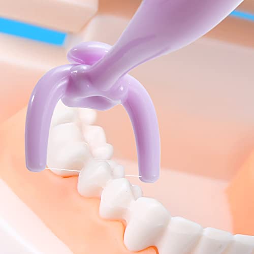 YaPoola Colorful Design Dental Floss Handle 3 Counts for Adults and Kids Teeth Cleaning Interdental Brush Unflavored Floss Picks floas Holder Reusable Flosser - Image 2