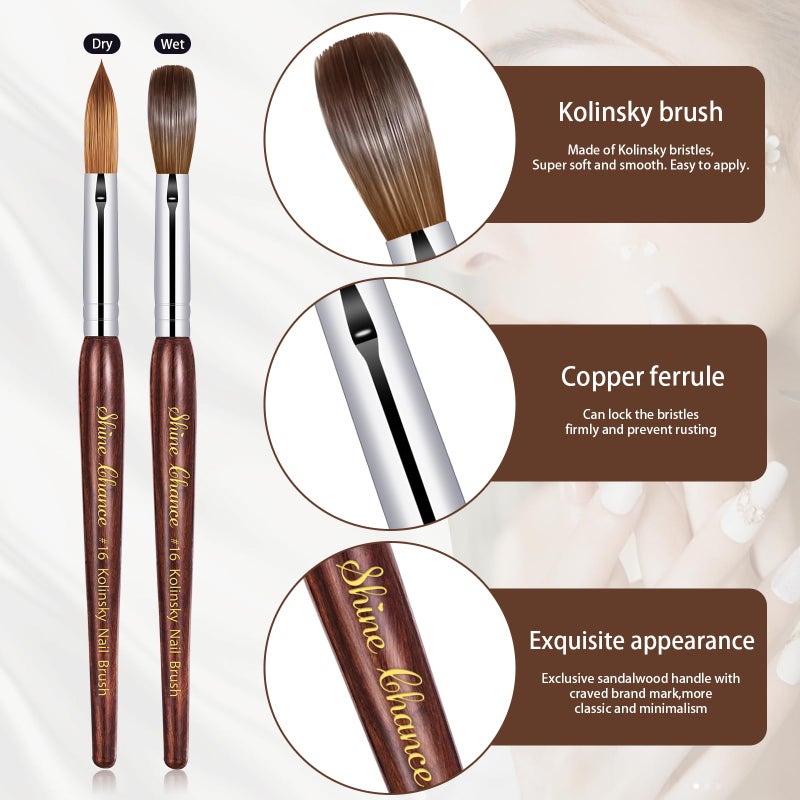 Shine Chance Acrylic Nail Art Brush - Size 16, 100% Pure Kolinsky Hair Oval Nail Brush for Professional Acrylic Application, DIY Home Salon - Image 2