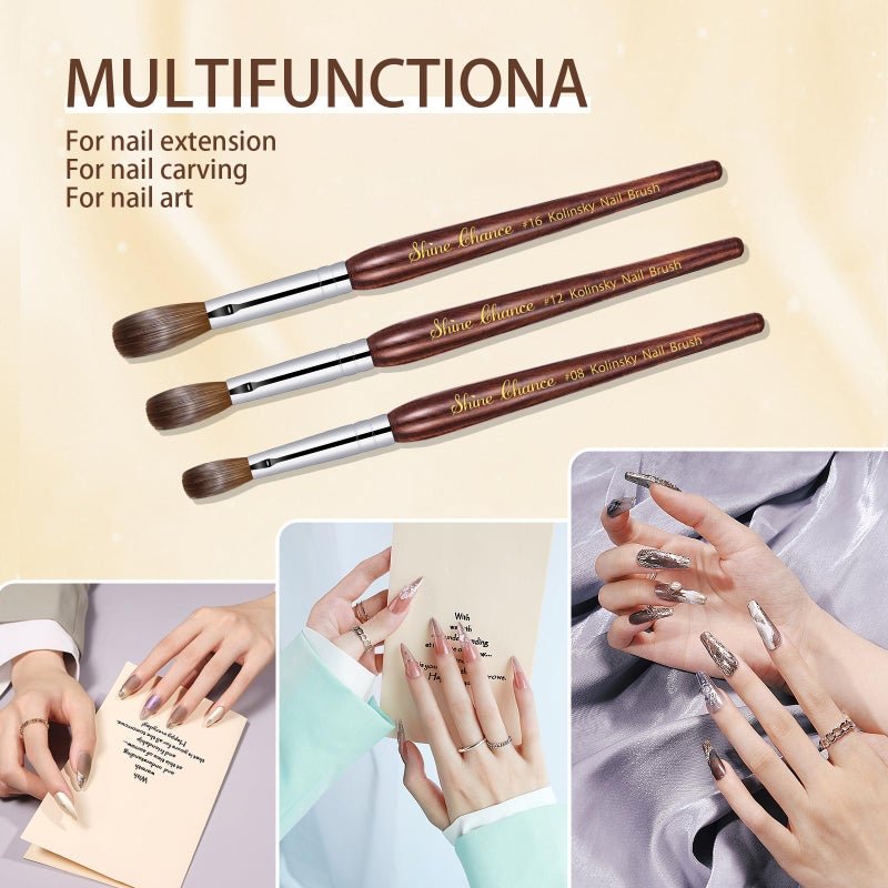 Shine Chance Acrylic Nail Art Brush - Size 16, 100% Pure Kolinsky Hair Oval Nail Brush for Professional Acrylic Application, DIY Home Salon - Image 4