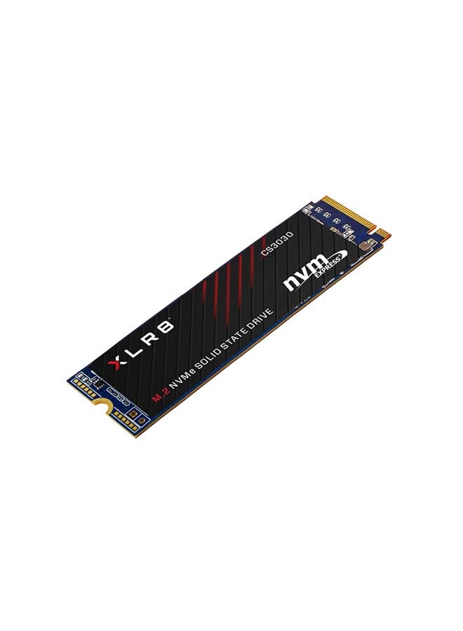 بي إن واي محرك أقراص SSD XLR8 CS3030 M.2 NVMe 250 GB - Image 3