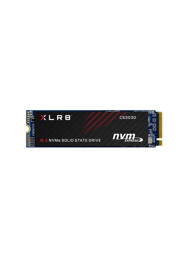بي إن واي محرك أقراص SSD XLR8 CS3030 M.2 NVMe 250 GB - Image 1