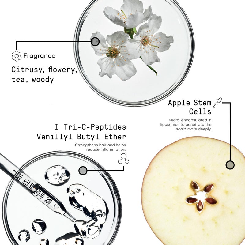 FRAMESI Morphosis Densifying Activator, Treatment for Thinning Hair - Image 4