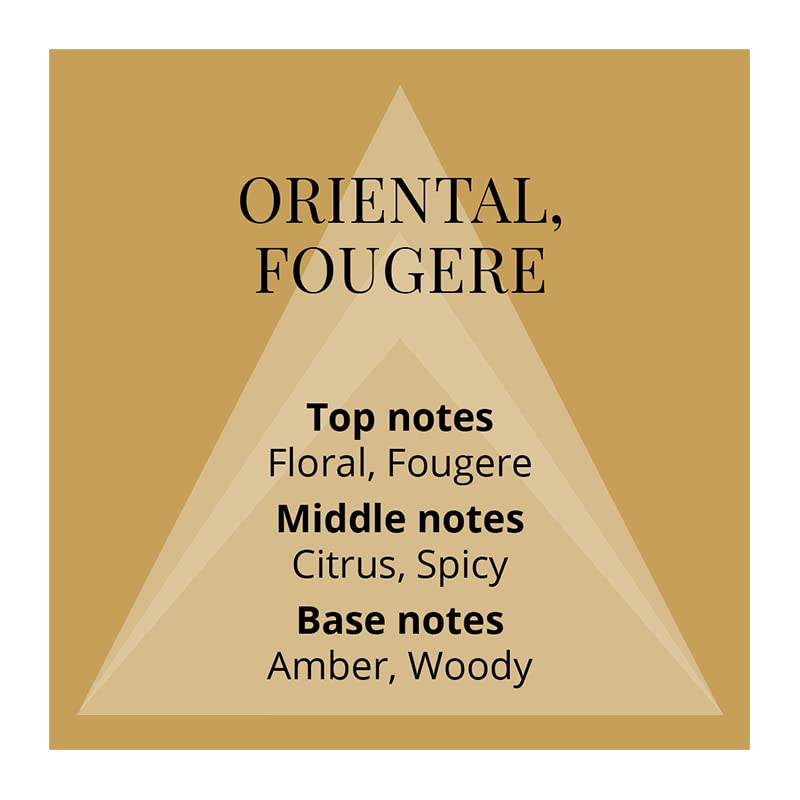 Colour Me Gold by Milton-Lloyd for Men - 1.7 oz EDT Spray - Image 4