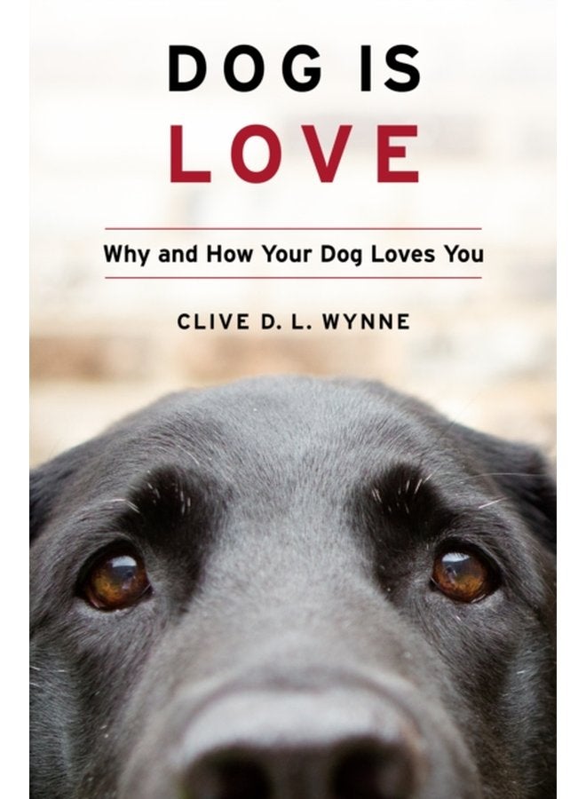 Dog Is Love Why and How Your Dog Loves You - Hardback