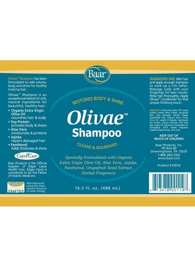 baar - Olivae Shampoo 16.5 Fl Oz Organic Olive Oil Formula Nourishes Hair While Cleaning. Aloe Vera Jojoba Oil And Proteins Repair Damaged Hair And Adds Body To All Hair Types - Image 1