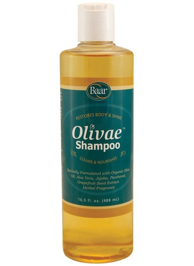 baar - Olivae Shampoo 16.5 Fl Oz Organic Olive Oil Formula Nourishes Hair While Cleaning. Aloe Vera Jojoba Oil And Proteins Repair Damaged Hair And Adds Body To All Hair Types - Image 1