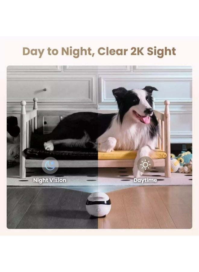 Enabot EBO Air 2 FamilyBot 2K Indoor Security Camera Robot with Mobility, Night Vision & Two-Way Audio - Image 2