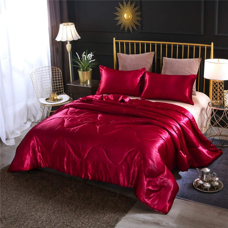 NTBED Silky Satin Comforter Set Queen 90x90 Luxury Soft Lightweight Sexy Microfiber Bedding Comforter with 2 Pillow Cases for Summer Spring Autumn Red Queen