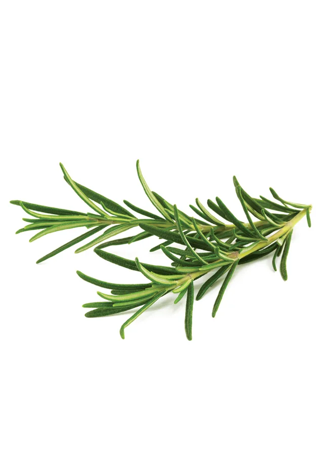 Click & Grow CLICK & GROW ROSEMARY SMART GARDEN REFILL