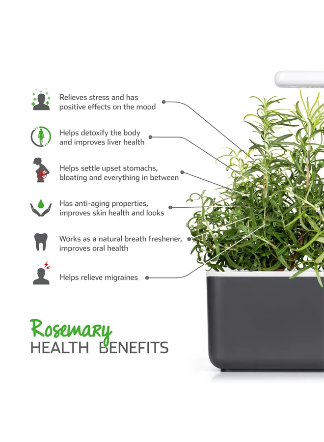 Click & Grow CLICK & GROW ROSEMARY SMART GARDEN REFILL