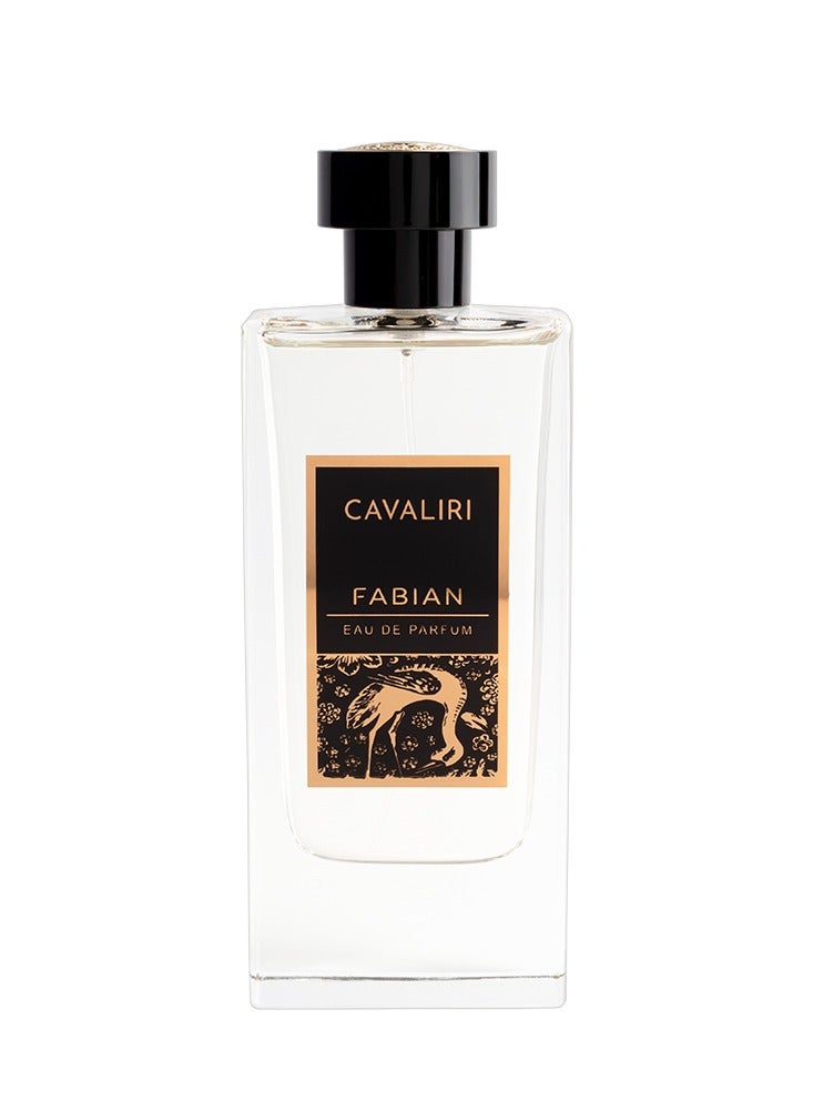 Fabian Cavaliri Silver EDP 100ml - Image 1