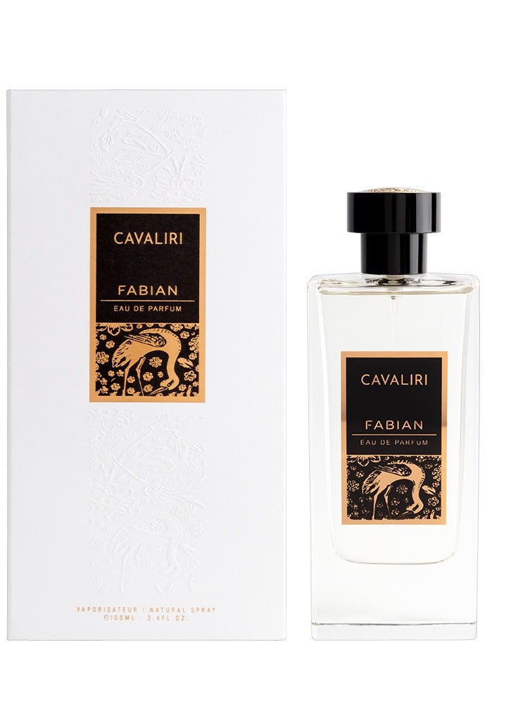 Fabian Cavaliri Silver EDP 100ml - Image 2