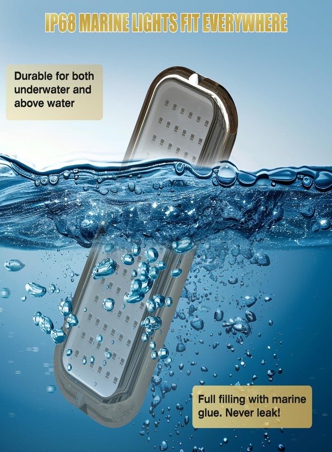 Goldlife أضواء قارب Goldlife B5 تحت الماء، أزرق، قطعتان، 3000 لومن، تيار مستمر 10-30 فولت، IP68، غلاف 316 لتر وعدسة شفافة، أضواء بحرية مقاومة للماء لليخوت والقوارب والعارضة والسطح الخارجي والداخلي والمؤخرة والمركبات الترفيهية وصيد الأسماك (B5-3) - Image 4
