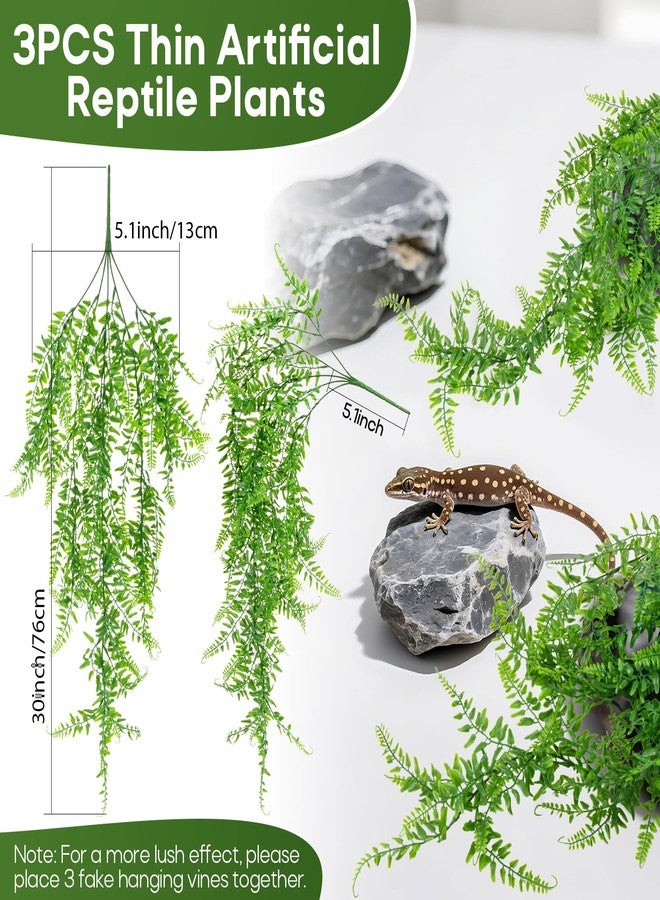 RAINFLOW 3PCS Reptile Plants for Terrarium - Fake Hanging Terrarium Plants, Artificial Boston Fern for Bearded Dragon Snake Geckos Hermit Crab Lizard Chameleon Turtle Reptile Decor(L30 xW5.1) - Image 2