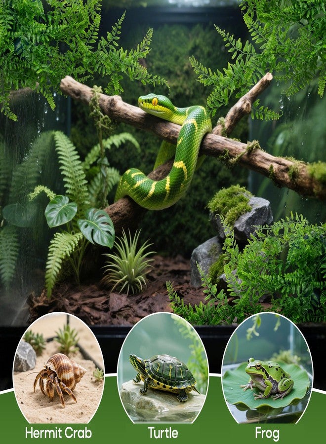 RAINFLOW 3PCS Reptile Plants for Terrarium - Fake Hanging Terrarium Plants, Artificial Boston Fern for Bearded Dragon Snake Geckos Hermit Crab Lizard Chameleon Turtle Reptile Decor(L30 xW5.1) - Image 4