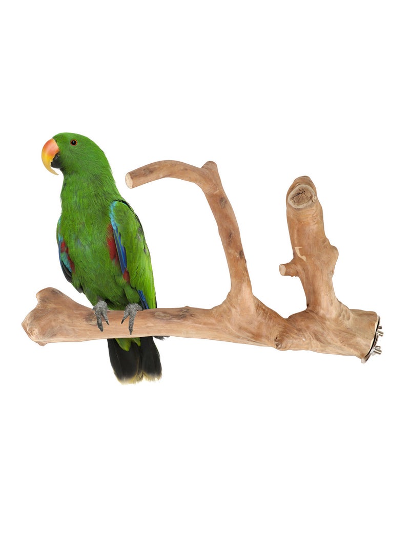 CHEWY BEAK Birds wooden perch solid java wood stick for cockatoo parrots and african gery parrots suitable for all bird cages - Image 1