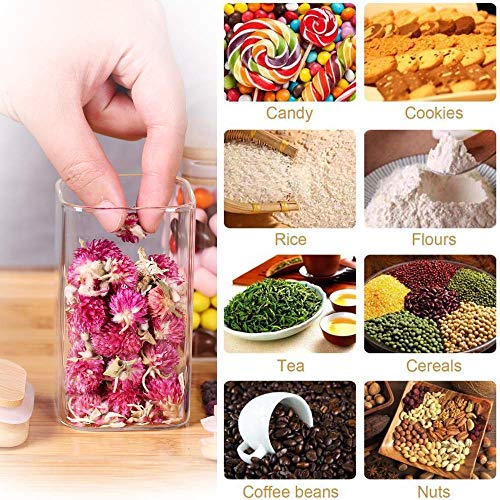 TIENER JAR AND CONTAINER (270 ML 12 PIECE SQUARE) - Image 3